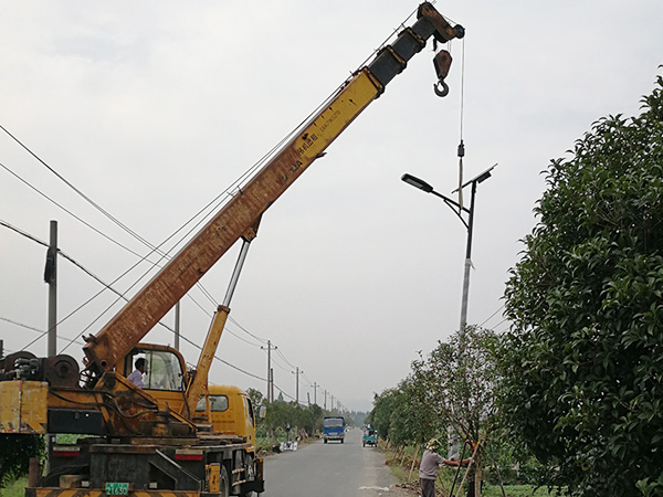 山东郯城道路灯安装